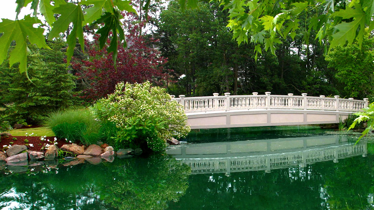 water-features