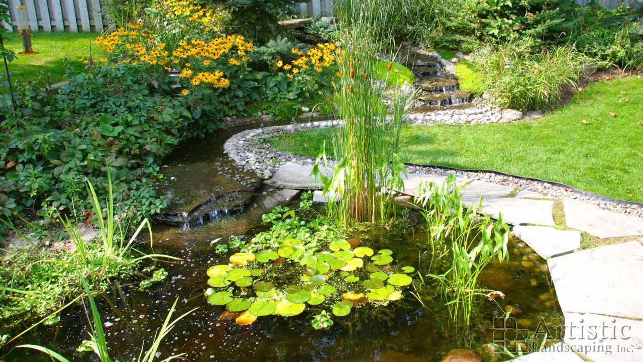 Bogs Plants & Fish 08