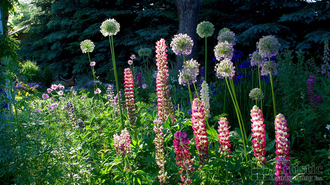 Garden Beds Plantings 02