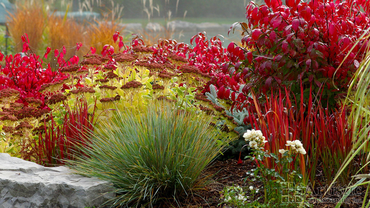 Garden Beds Plantings 13